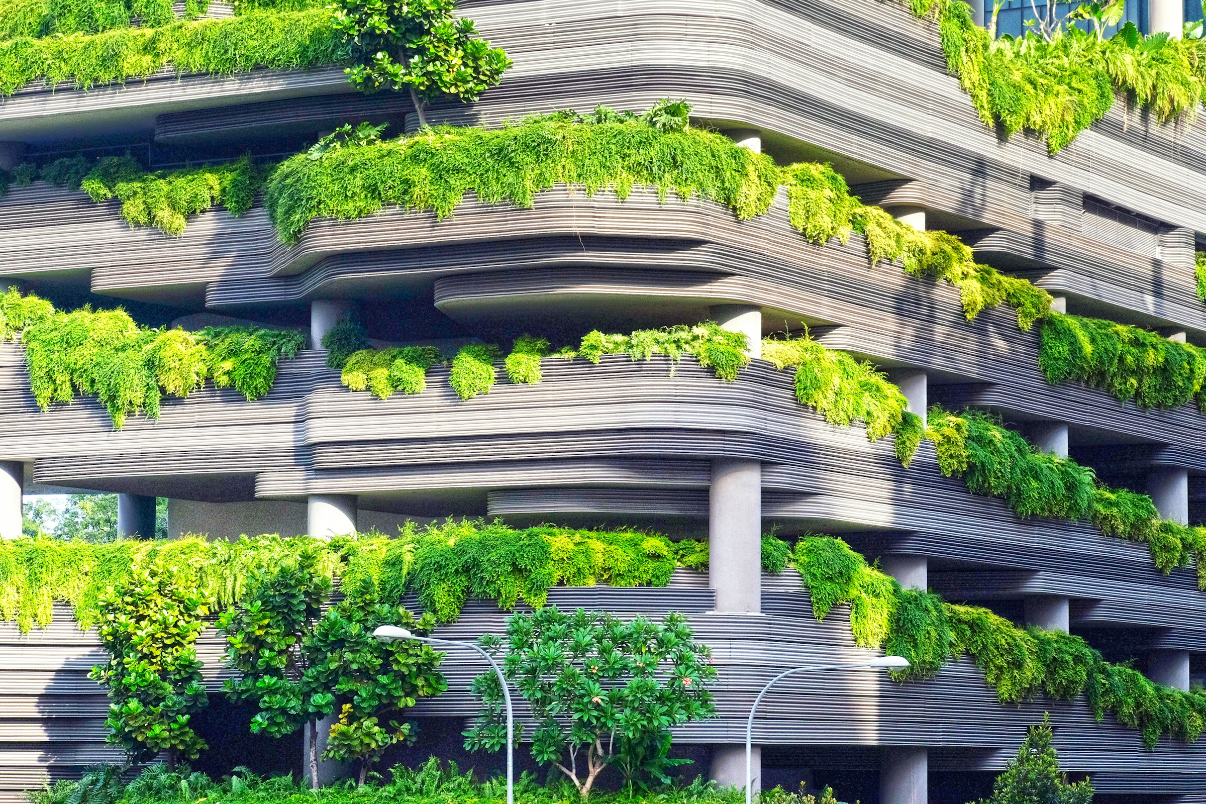 Green Construction