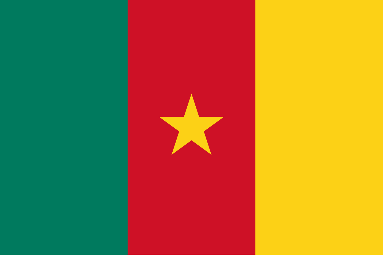 Cameroon flag