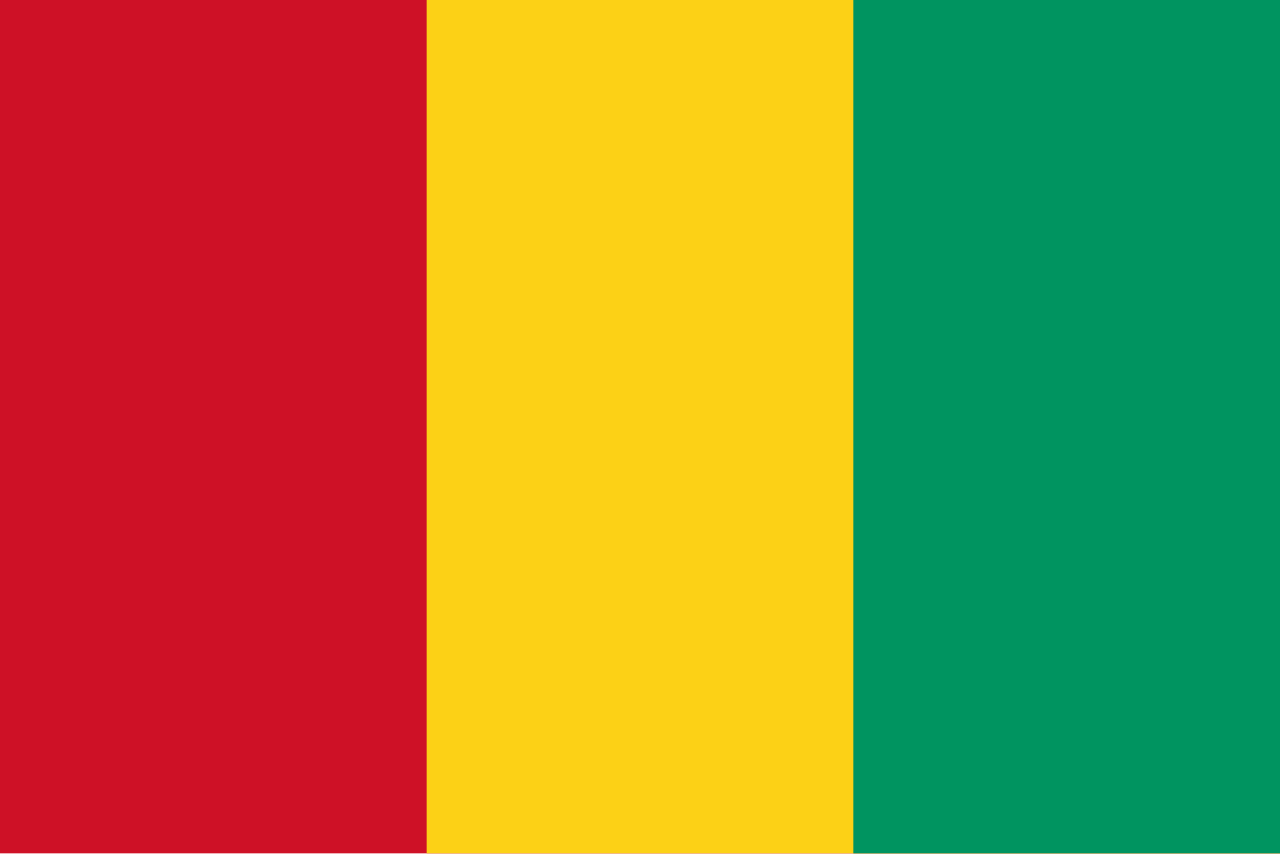 Guinea flag