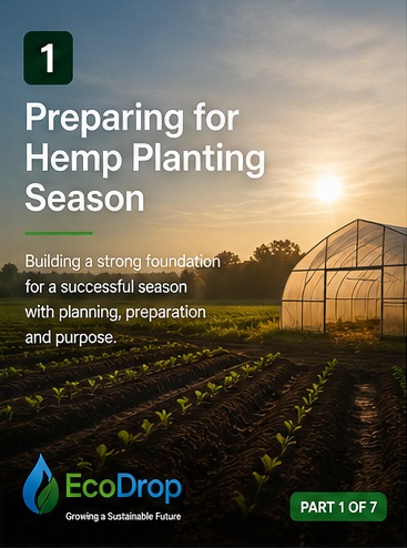 Preparing for Hemp Planting Season in South Africa