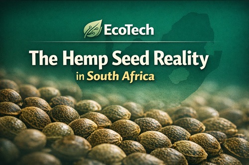 Is Your Hemp Seed Legal in South Africa?